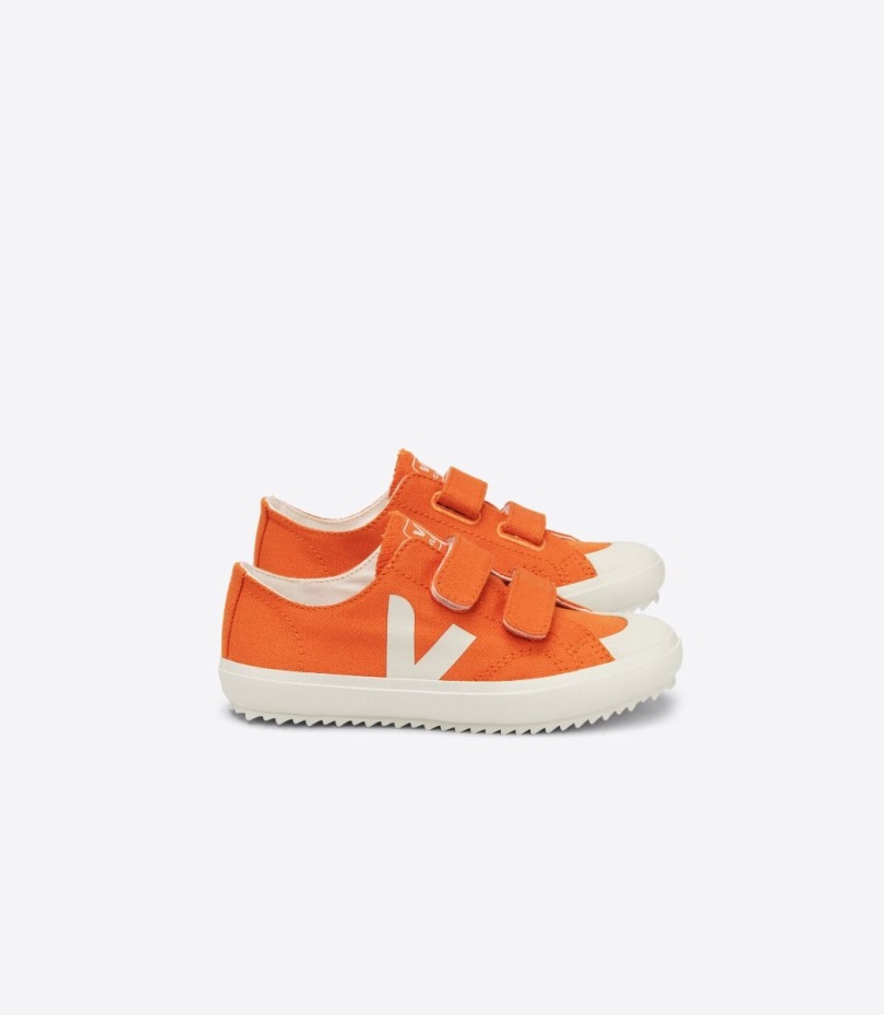 Canvas Pumpkin Pierre Premium Veja Origional