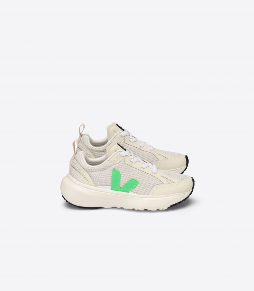 Elastic Lace Natural Absinthe Veja Origional Series