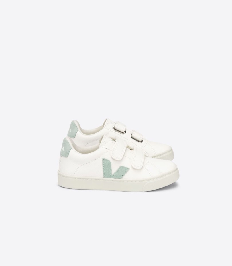 Premium Chromefree Leather White Matcha Veja Origional
